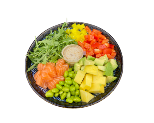 B1. Salmon Bowl